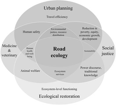 On the Road Without a Map: Why We Need an “Ethic of Road <mark class="highlighted">Ecolog</mark>y”